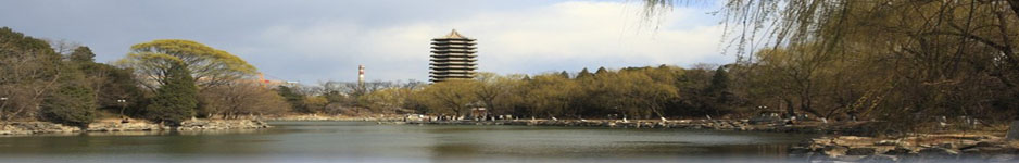 东北财经大学